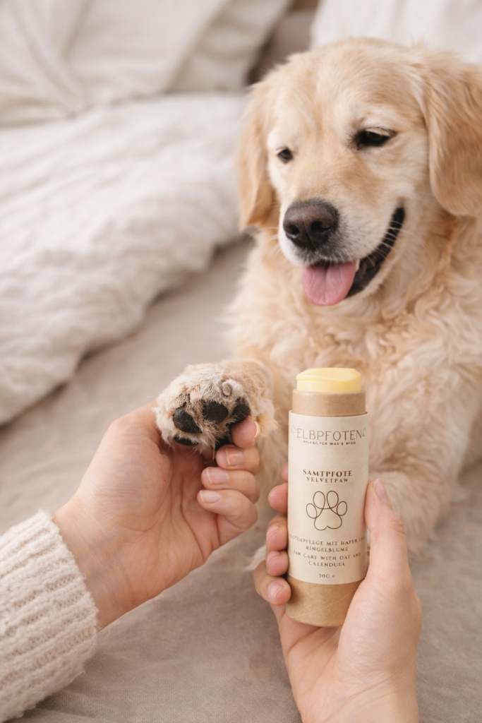 Hund wird mit Elbpfotenpflegestick gepflegt