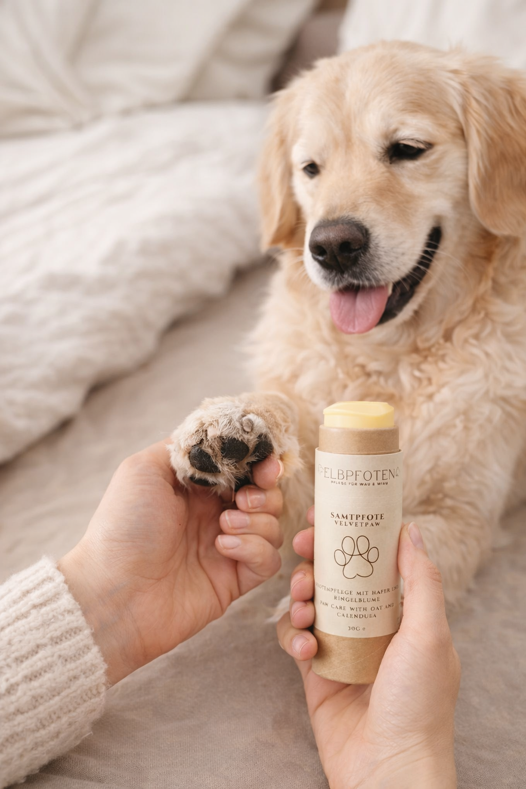 Hund wird mit Elbpfotenpflegestick gepflegt