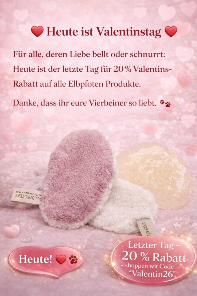 Valentin für Vierbeiner