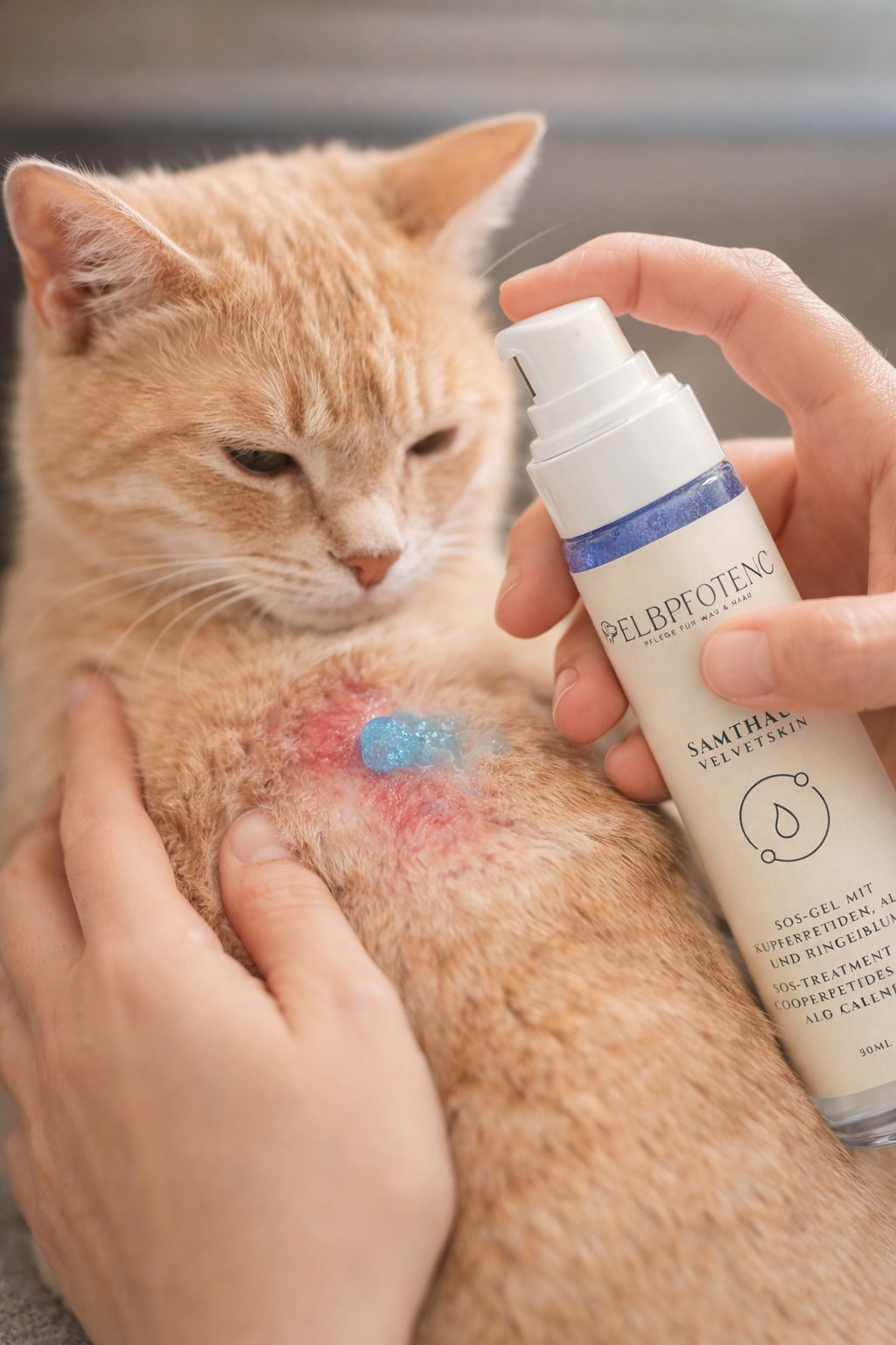 Katze wird mit Samtgel gepflegt
